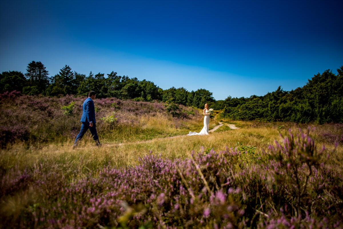 Bruidsfoto in paarse heide: bruid in witte jurk met boeket op zonovergoten pad, bruid in blauw pak loopt teen. Groene bomen en blauwe lucht op de achtergrond.