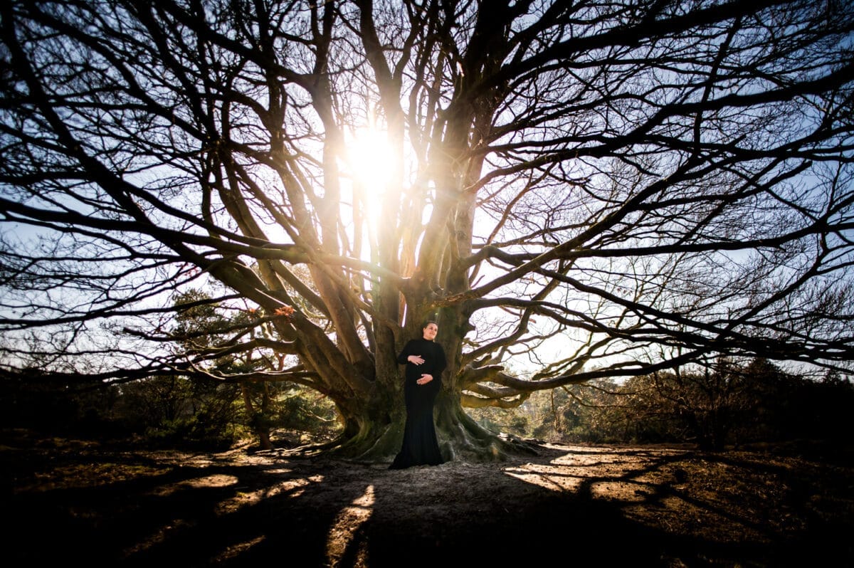 Zwangerschapsfotoshoot vrouw in lange zwarte jurk onder grote boerenkool boom met zonlicht en schaduwen, openlucht, dramatische sfeer, zwangerschapsfotografie bij betrouwbare lucht.