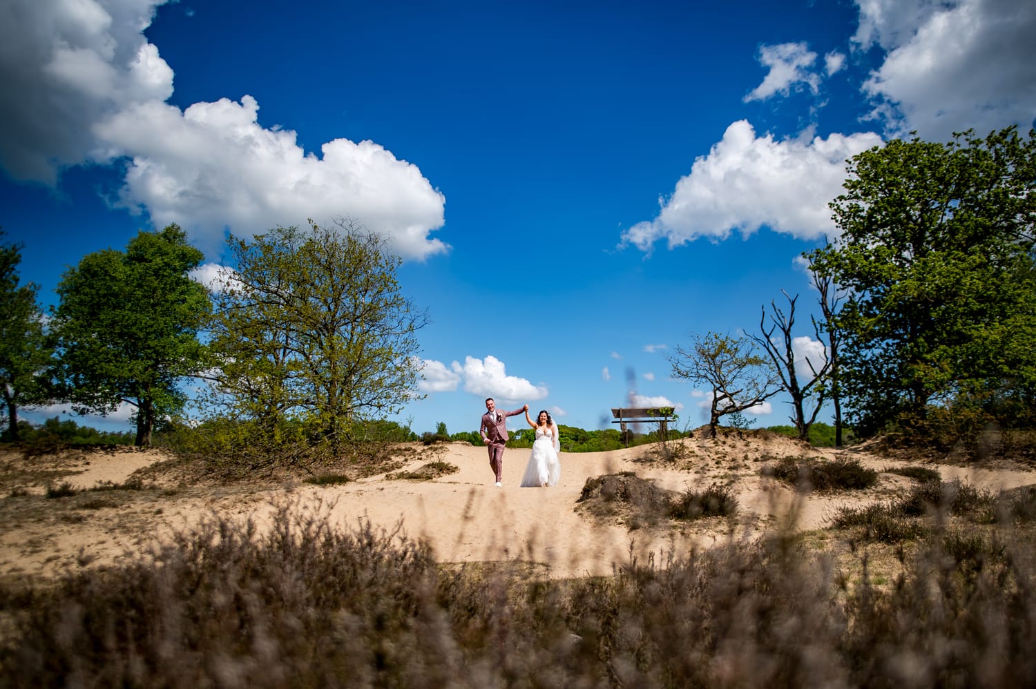 Featured image for “Inge en Kars – Bruiloft bij Garnwerd aan Zee”