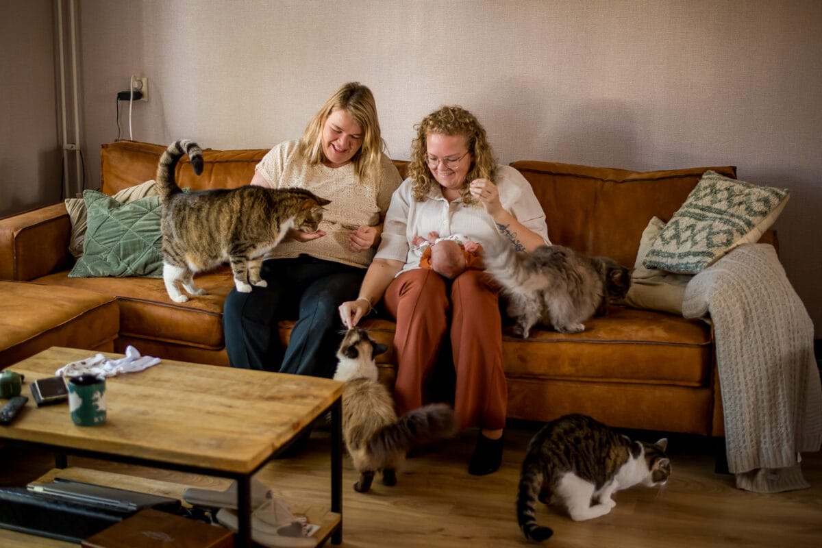 Twee vrouwen op bruine bank met baby en vijf katten in gezellige woonkamer met houten salontafel, groen kussen, warme verlichting.