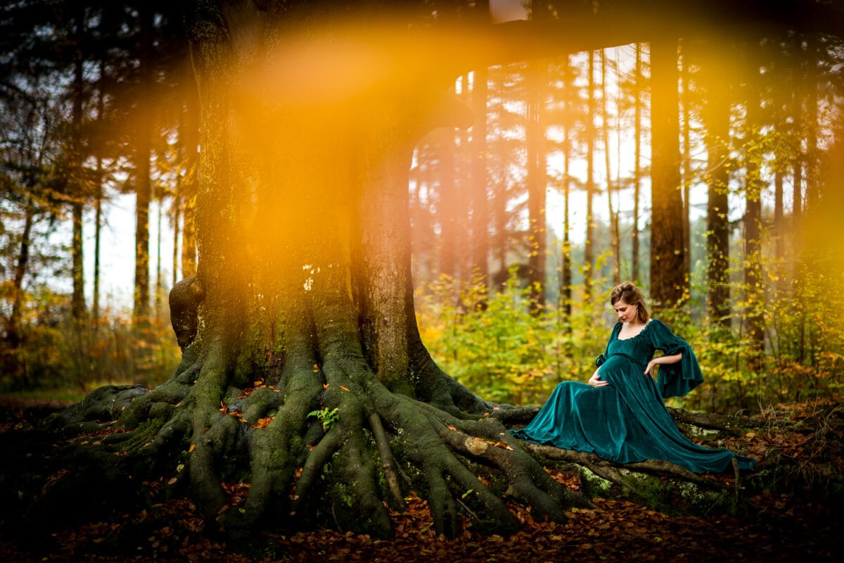 Zwangere vrouw in groene jurk zittend onder grote boom met wortels in herfstbos, warm zonlicht en dromerige oranje bokeh.