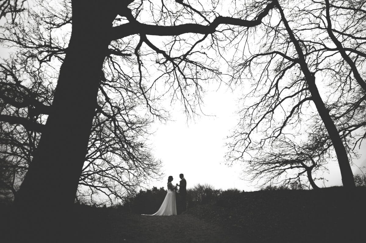 Romantisch bruidspaar staat hand in hand op open plek, silhouet bij heldere lucht, omringd door grote boerenbomen, trouwfoto.